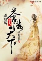 《帝凰赋:美人誉满天下》