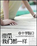 《傻瓜我们都一样》