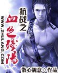 《抗战之血色残阳》