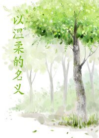 《以温柔的名义》
