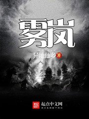 《雾岚》