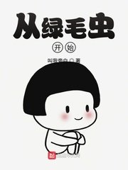 从虑毛虫开始