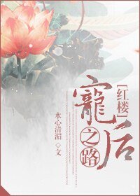 （红楼同人）[红楼]宠后之路.