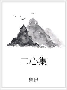 《二心集》