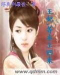 《王妃等本王回来》