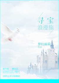 《重生之寻宝浪漫旅》