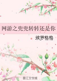 《网游之兜兜转转还是你》