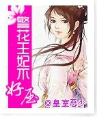 《警花王妃难收服》
