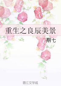 《重生之良辰美景》