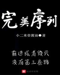 《完美序列》