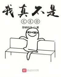 《我真不是CEO》