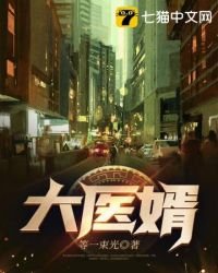《大医婿》