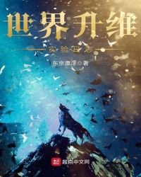 《世界升維實驗日誌》
