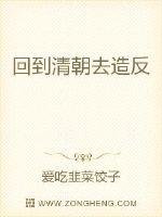 《回到清朝去造反》