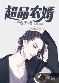 《超品农婿》
