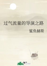 《过气流量的导演之路》
