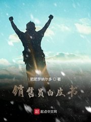 《销售员白皮书》