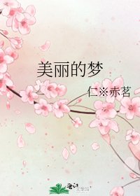 《美丽的梦》