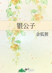 《银公子》