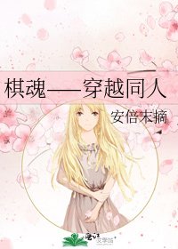 《棋魂——穿越同人》