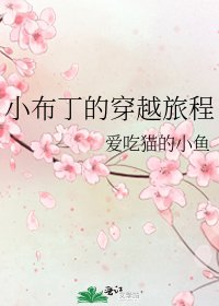《小布丁的穿越旅程》