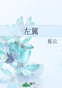 《左翼》