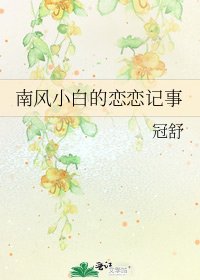《南风小白的恋恋记事》