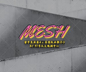 《Mesh》