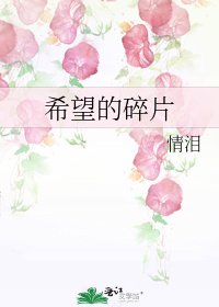 《希望的碎片》