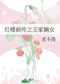 《红楼前传之王家嫡女》