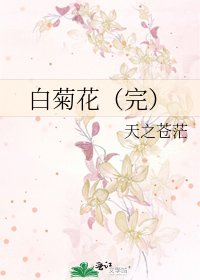 《白菊花(完)》