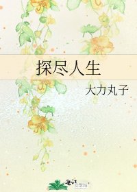 《探尽人生》