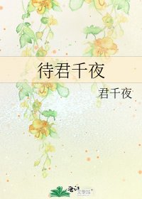 《待君千夜》
