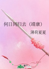 《何日同归去(靖康)》