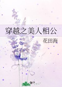 《穿越之美人相公》