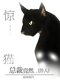 《惊!野猫总裁竟然...》
