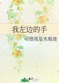《我左边的手》