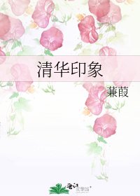 《清华印象》