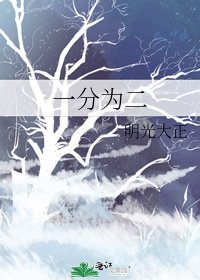 《一分为二》