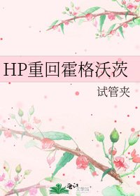《HP重回霍格沃茨》