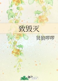 《致毁灭》