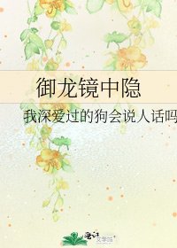 《御龙镜中隐》