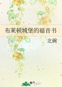 《布莱顿城堡的福音书》