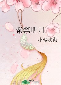 《紫禁明月》