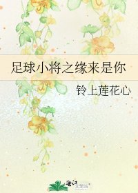 《足球小将之缘来是你》