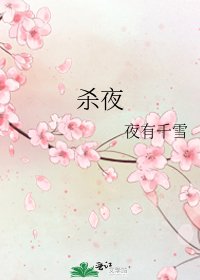 《杀夜》