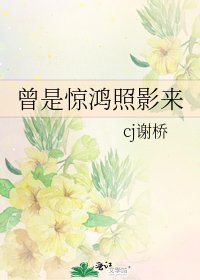 《曾是惊鸿照影来》