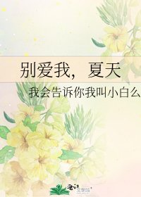 《别爱我,夏天》