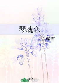 《琴魂恋》