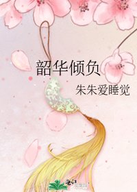 《韶華傾負》